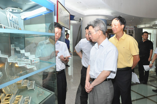 廣東省國資委副主任趙瑞云調研風華