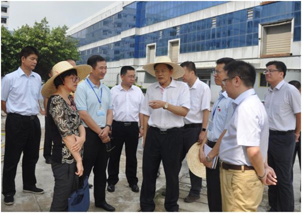 風華高科6月份新聞動態回顧