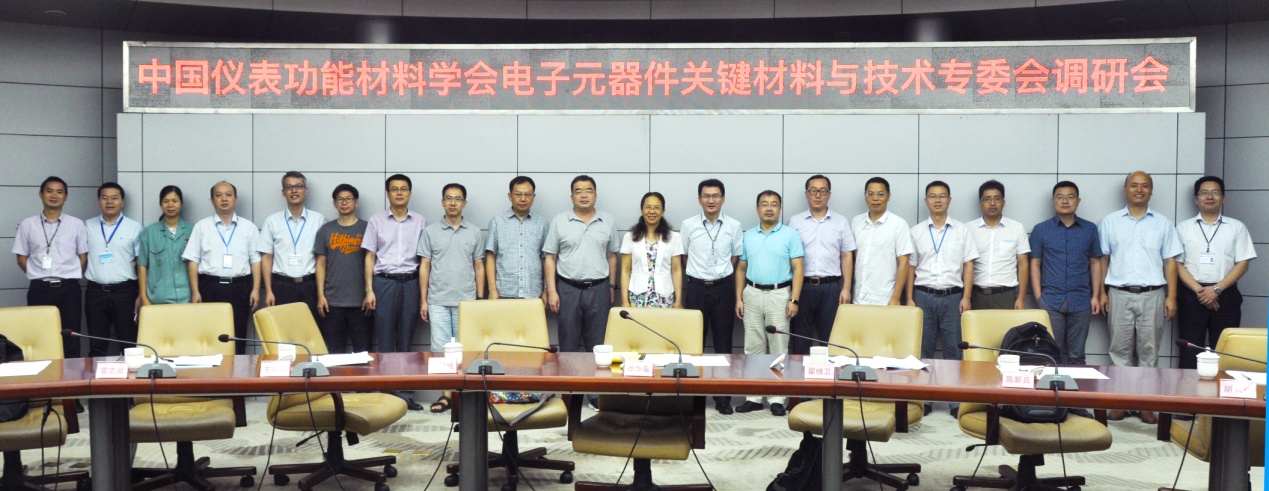 中國(guó)儀表功能材料學(xué)會(huì)電子元器件關(guān)鍵材料與技術(shù)專(zhuān)委會(huì)蒞臨風(fēng)華高科調(diào)研交流