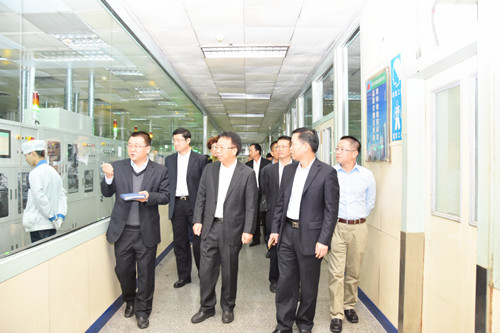 廣晟公司陳勝光總經理帶隊赴風華高科檢查督導環保安全工作